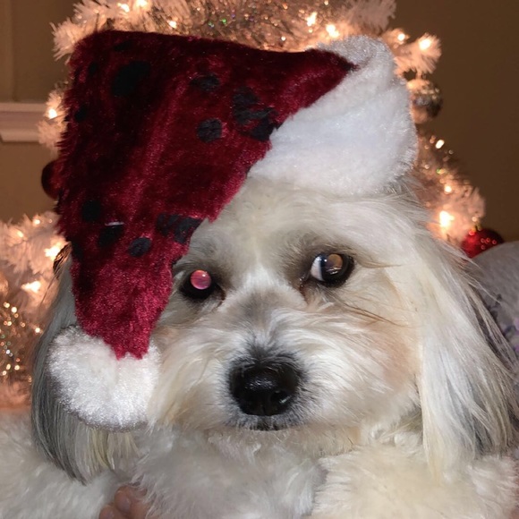 Meet your Posher, Mikayla - Picture 1 of 1